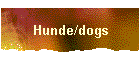 Hunde/dogs